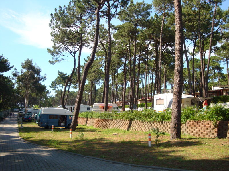 Parque De Campismo Orbitur Viana Do Castelo Ξενοδοχείο Εξωτερικό φωτογραφία